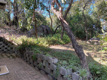 Tranquil Nest Lodge Hazyview Mpumalanga South Africa Plant, Nature, Ruin, Architecture, Tree, Wood