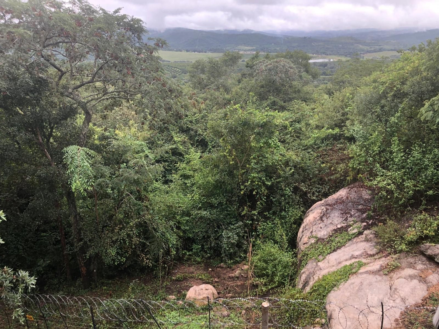 Tranquil Nest Lodge Hazyview Mpumalanga South Africa Forest, Nature, Plant, Tree, Wood, Highland