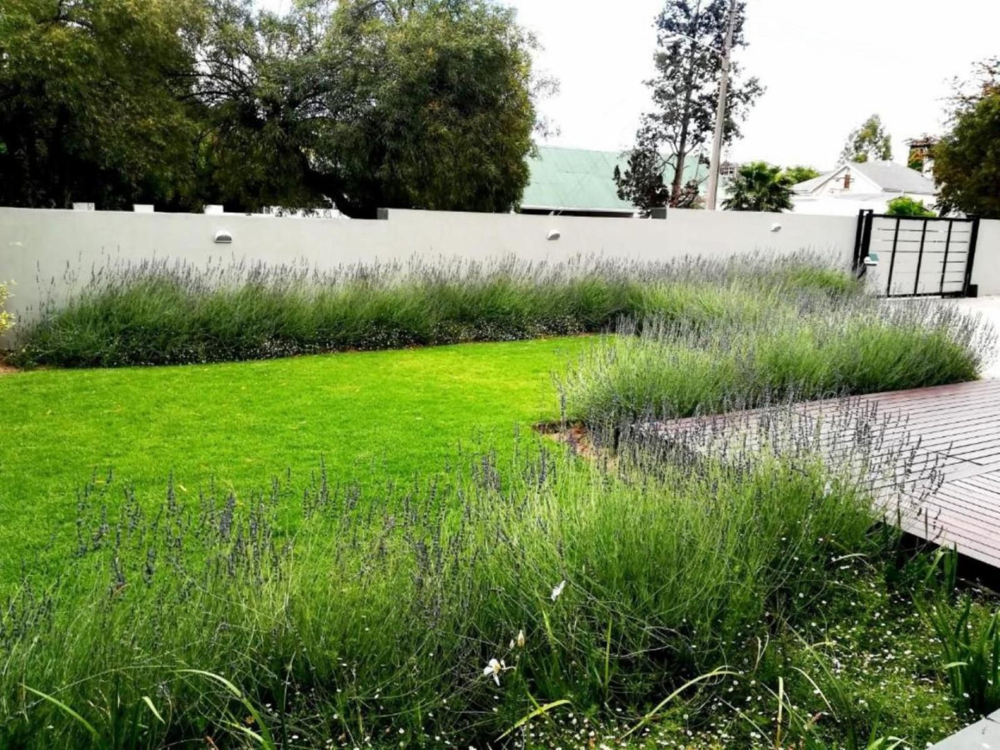 Tranquil House Bandb 1 College Avenue Queenstown Eastern Cape South Africa Field, Nature, Agriculture, Plant, Garden