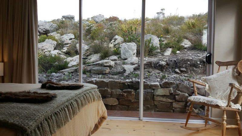 Tranquility Heights Pringle Bay Western Cape South Africa Ruin, Architecture, Garden, Nature, Plant, Stone Texture, Texture