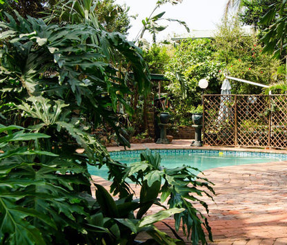 Travellers Inn Rustenburg Central Rustenburg North West Province South Africa Palm Tree, Plant, Nature, Wood, Garden, Swimming Pool