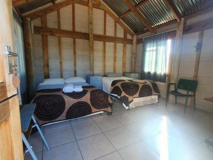 Steenbok - Hut @ Travellers Rest