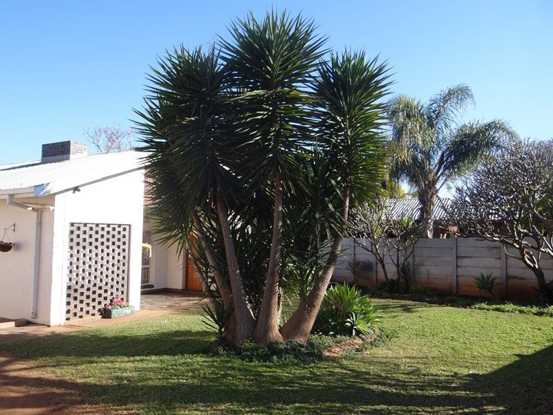 Travellers Stop And Stay Guest House Mokopane Potgietersrus Limpopo Province South Africa Palm Tree, Plant, Nature, Wood