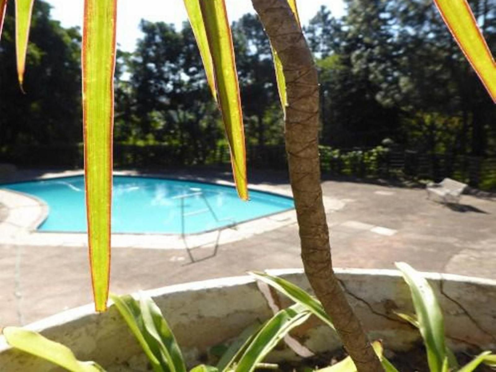 Tre Fontane Guest Lodge Marianhill Pinetown Kwazulu Natal South Africa Swimming Pool