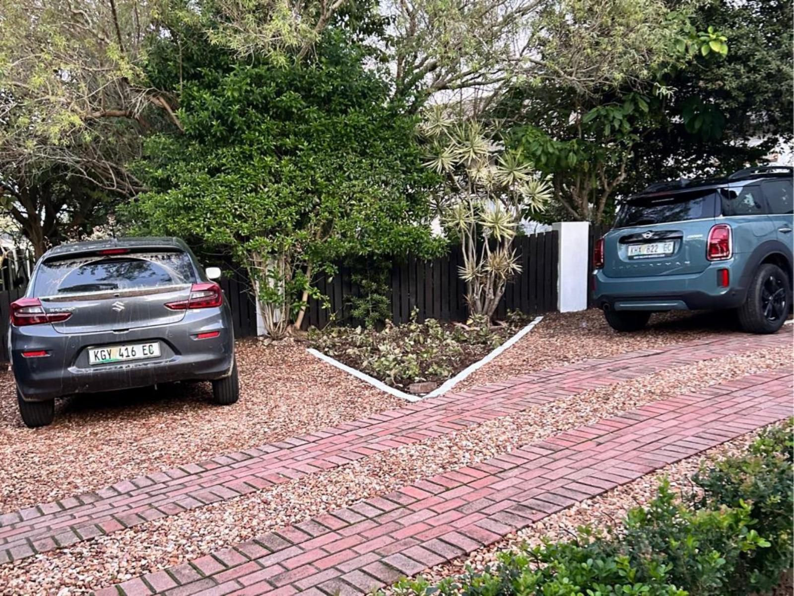 Tree Aloe Guest House, Plant, Nature, Garden, Car, Vehicle