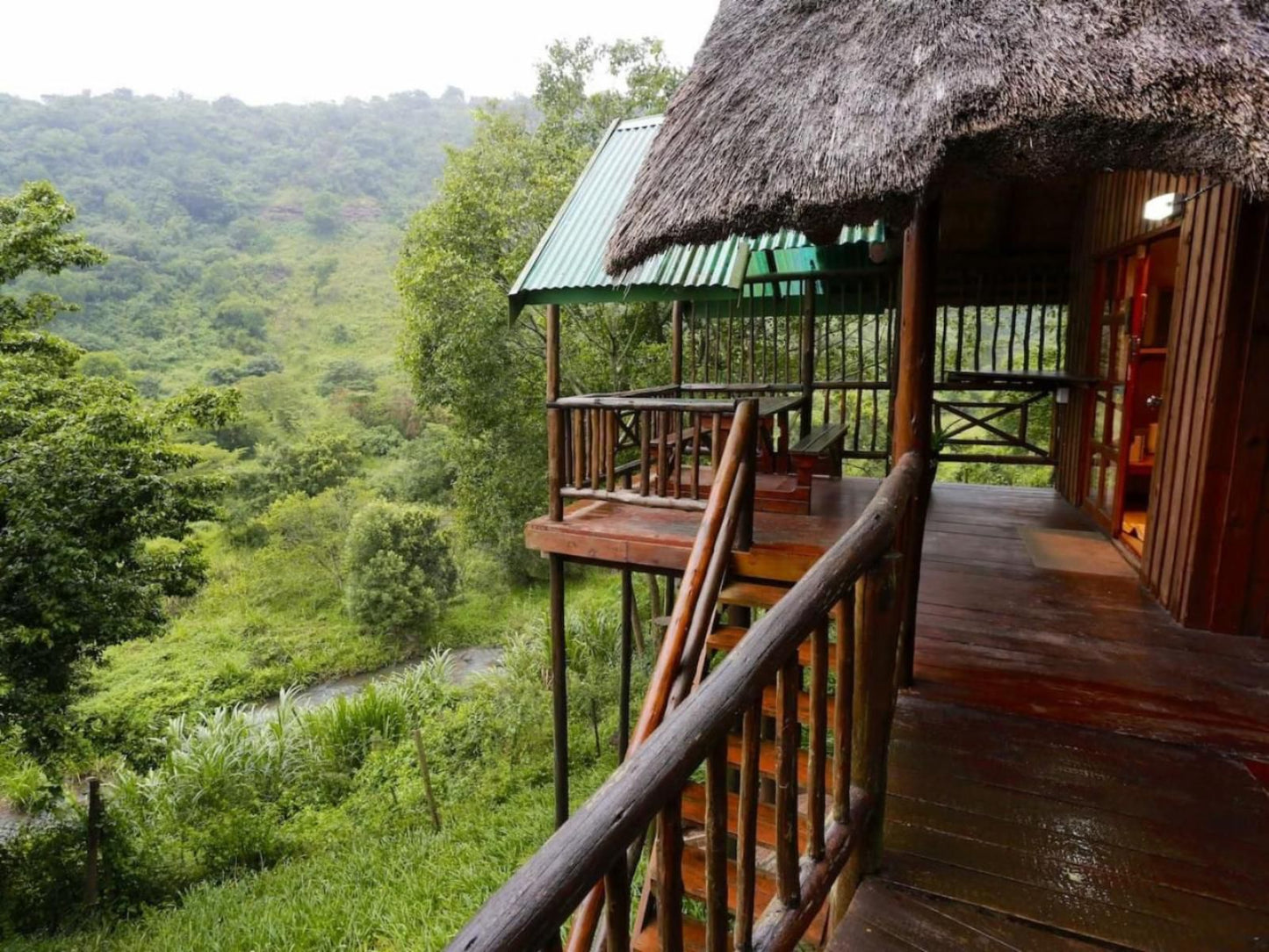 Treehouse River Lodge Summerveld Durban Kwazulu Natal South Africa Forest, Nature, Plant, Tree, Wood