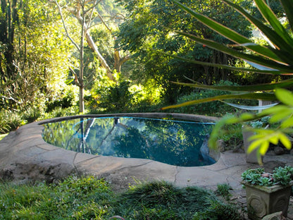 Treehouse River Lodge Summerveld Durban Kwazulu Natal South Africa Plant, Nature, Tree, Wood, Garden, Swimming Pool