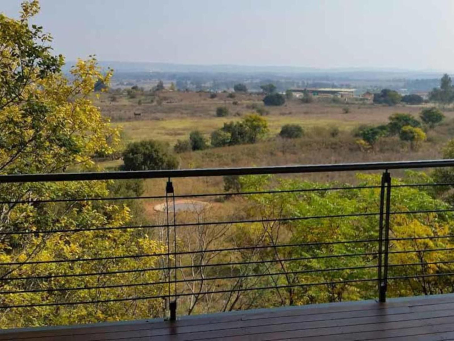 Tree Tops Guest Farm, Tree, Plant, Nature, Wood, Lowland