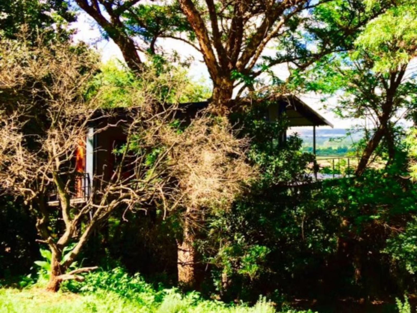 Tree Tops Guest Farm