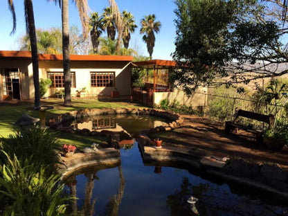 Tree Tops Guest Farm, House, Building, Architecture, Palm Tree, Plant, Nature, Wood, Garden, Swimming Pool