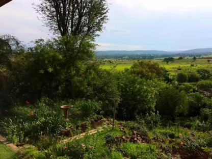 Tree Tops Guest Farm, Field, Nature, Agriculture