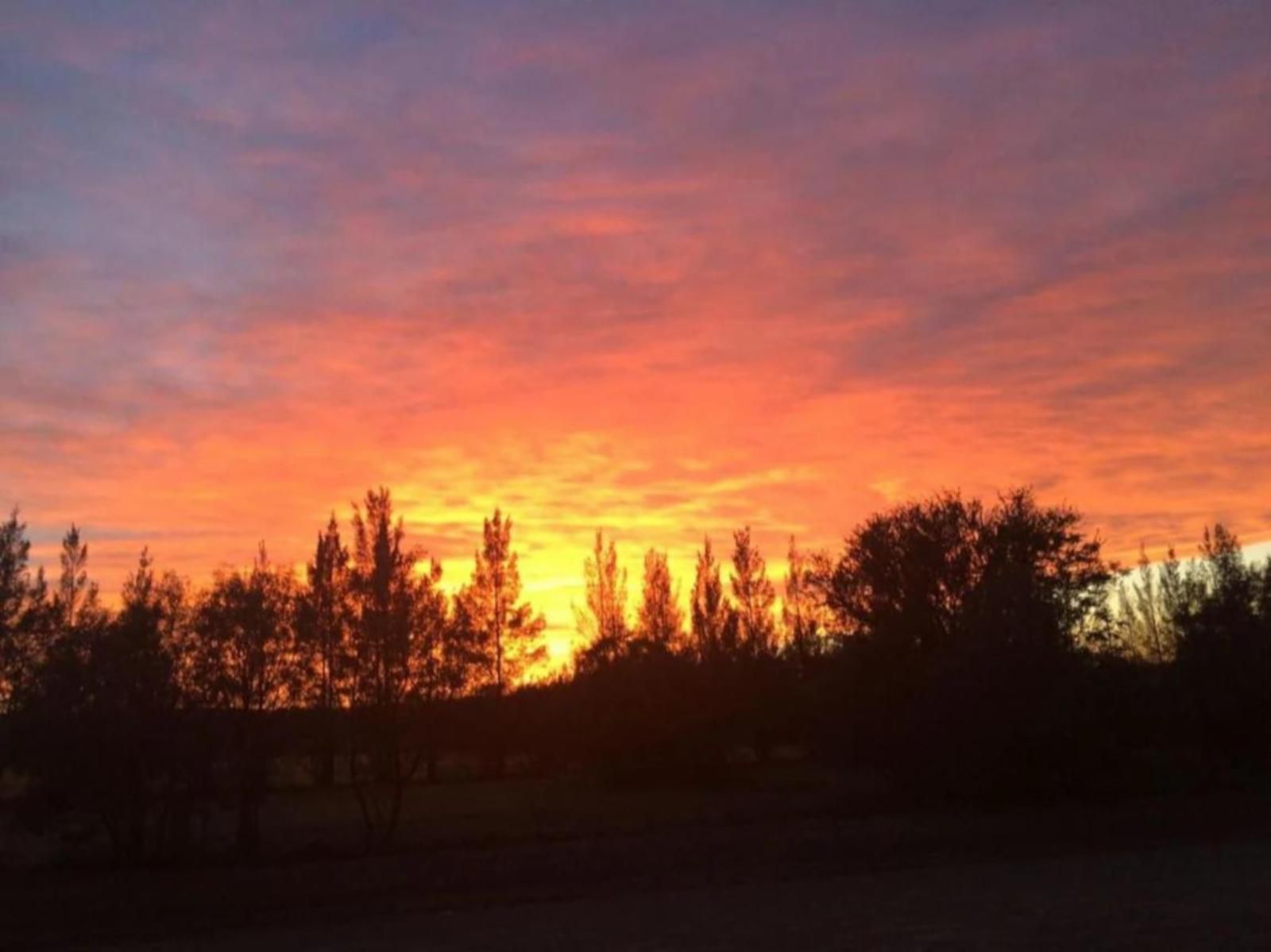 Tree Tops Guest Farm, Sky, Nature, Sunset