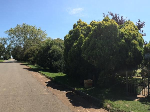 Treelands Abbey Dullstroom Mpumalanga South Africa Complementary Colors, Plant, Nature, Tree, Wood, Garden