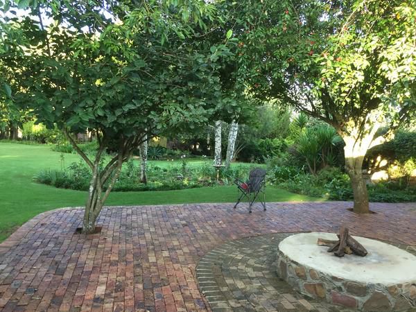 Treelands Estate Dullstroom Mpumalanga South Africa Palm Tree, Plant, Nature, Wood, Tree, Garden, Living Room, Swimming Pool