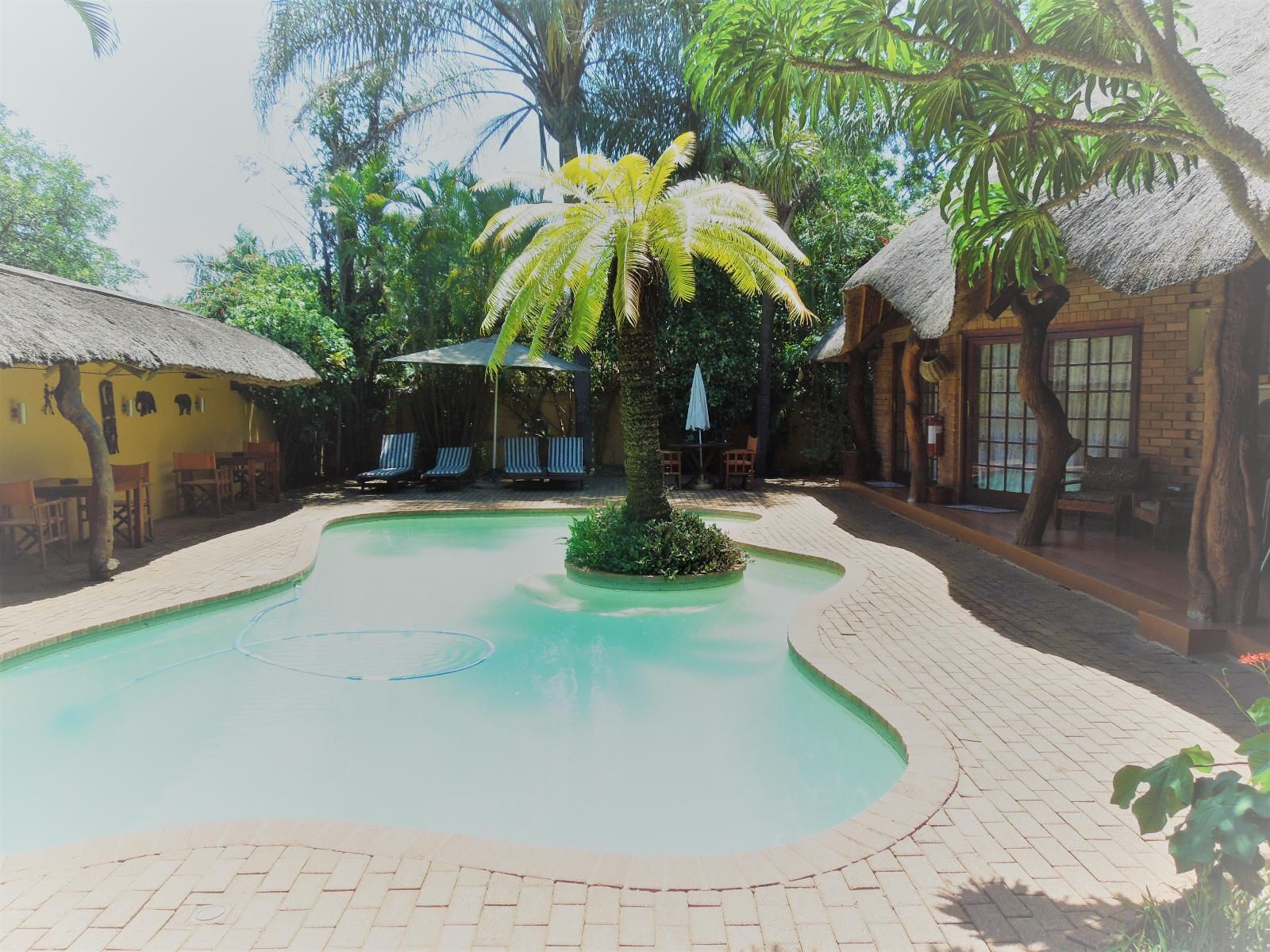 Trees Too Guest Lodge, Palm Tree, Plant, Nature, Wood, Swimming Pool