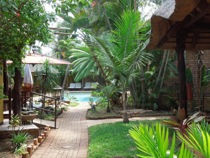 Trees Too Guest Lodge, Palm Tree, Plant, Nature, Wood, Swimming Pool