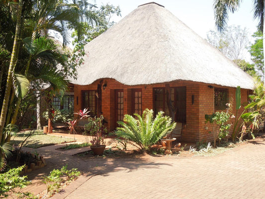 Trees Too Guest Lodge, Building, Architecture, House, Palm Tree, Plant, Nature, Wood