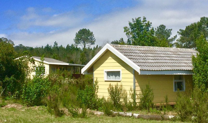 Tree Spirit Cottages Gouna Knysna Western Cape South Africa Complementary Colors, Building, Architecture, Cabin