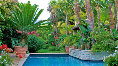 Treetops Self Catering Constantia Cape Town Western Cape South Africa Palm Tree, Plant, Nature, Wood, Garden, Swimming Pool