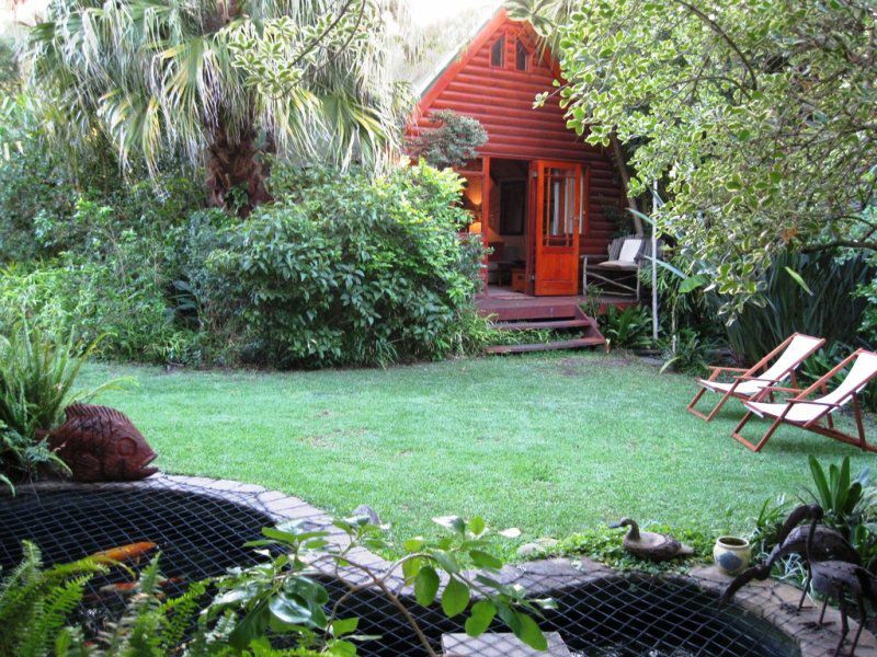 Treetops Self Catering Constantia Cape Town Western Cape South Africa Plant, Nature, Garden