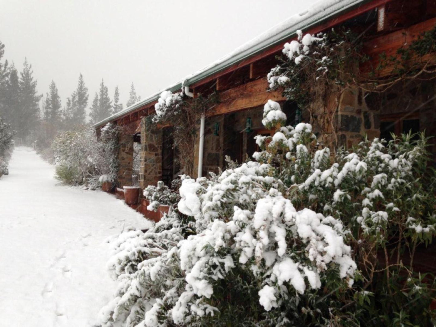 Trengwainton Hogsback Eastern Cape South Africa Cabin, Building, Architecture, Nature, Snow, Winter