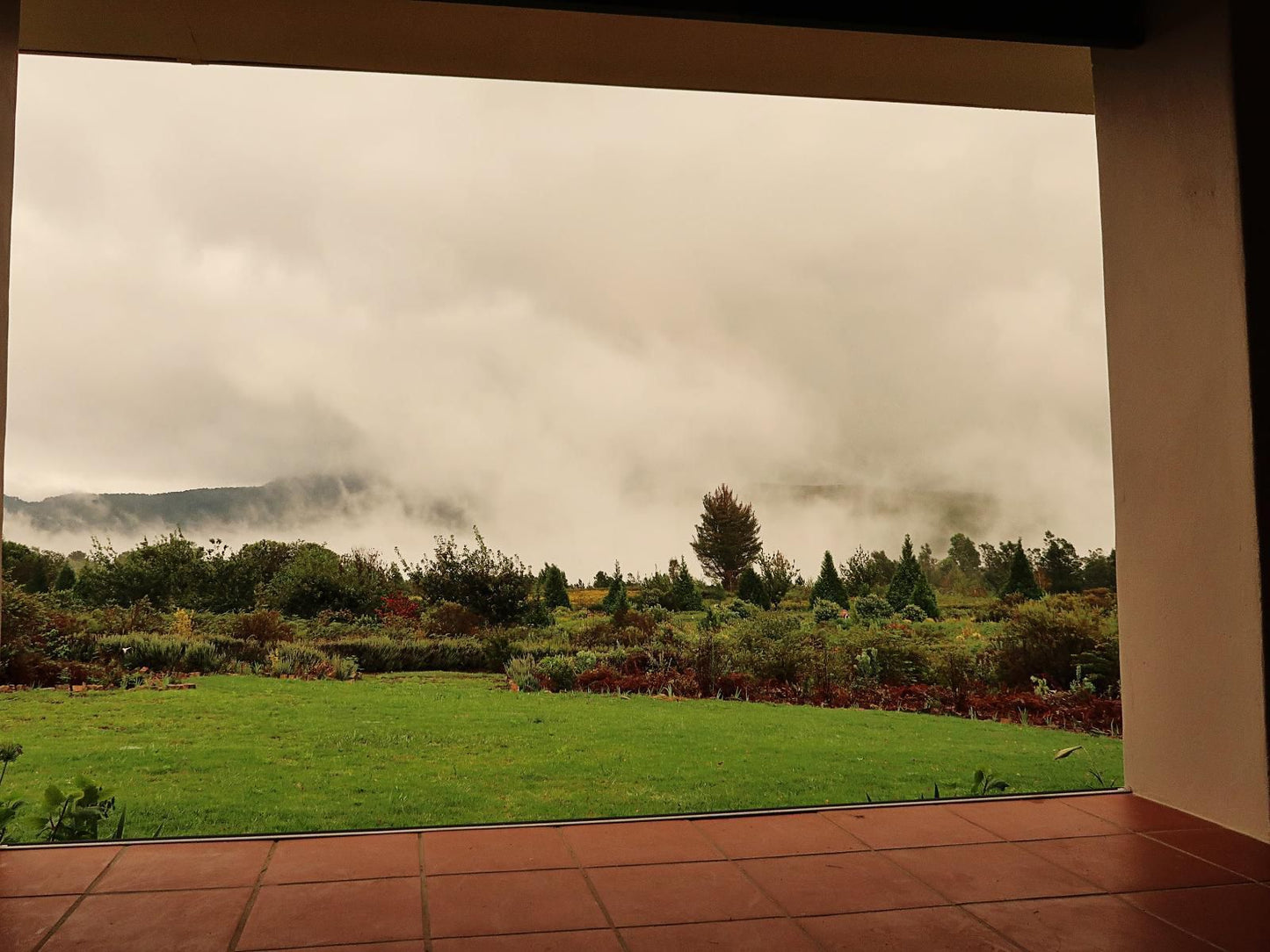 Trengwainton Hogsback Eastern Cape South Africa Sepia Tones, Nature