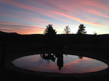 Trengwainton Hogsback Eastern Cape South Africa Sky, Nature, Sunset