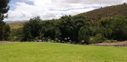 Treyntjes Rivier Cottages Caledon Western Cape South Africa Plant, Nature, Garden