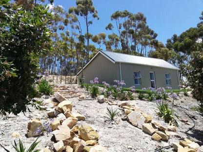 Treyntjes Rivier Cottages Caledon Western Cape South Africa Plant, Nature