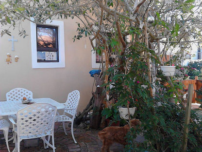 Tritonia Cottage Blouberg Cape Town Western Cape South Africa 