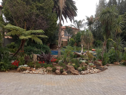 Troas Accommodation Vanderbijlpark Gauteng South Africa Palm Tree, Plant, Nature, Wood, Garden