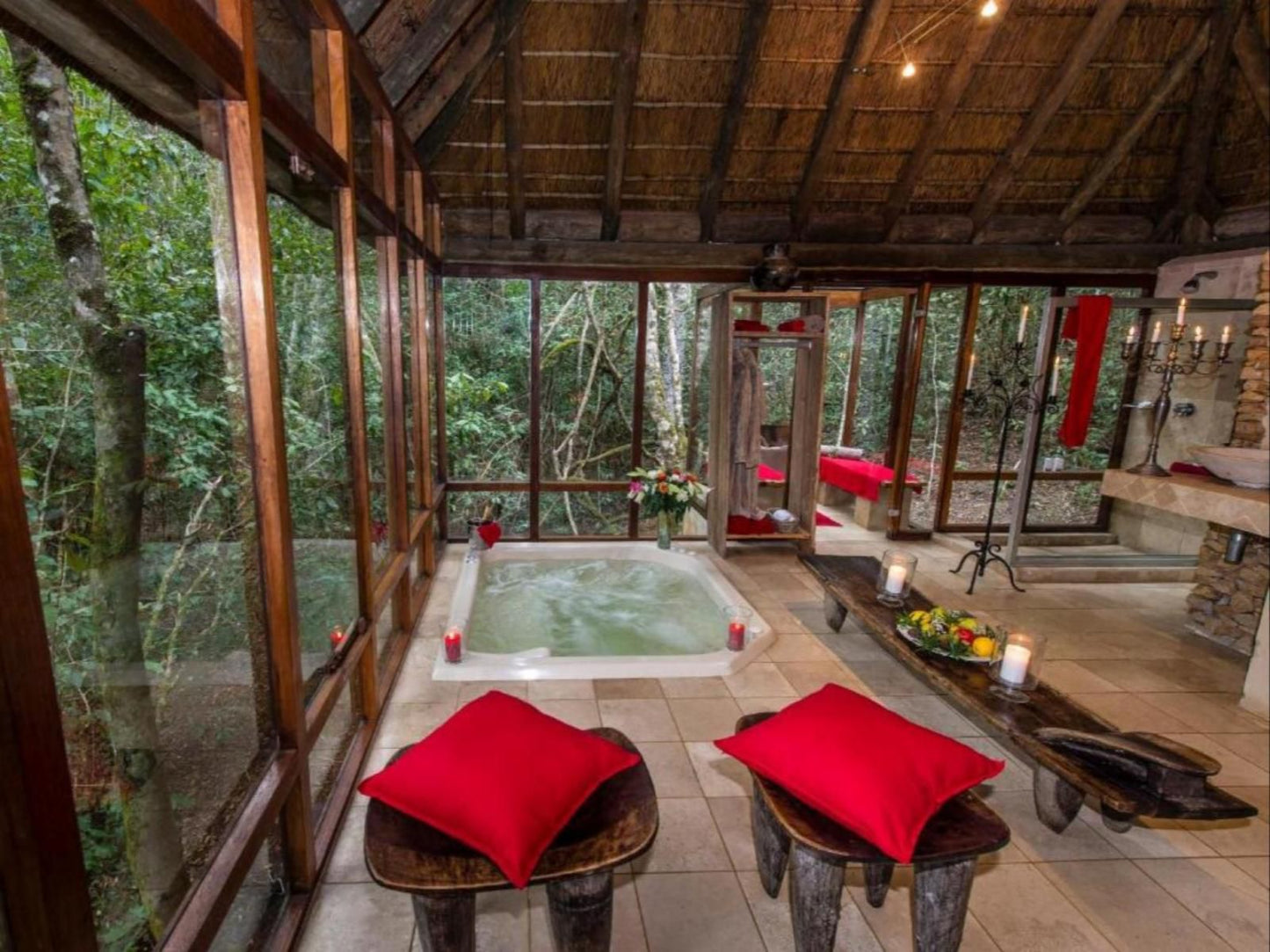 Trogon House And Forest Spa The Crags Western Cape South Africa Garden, Nature, Plant, Swimming Pool