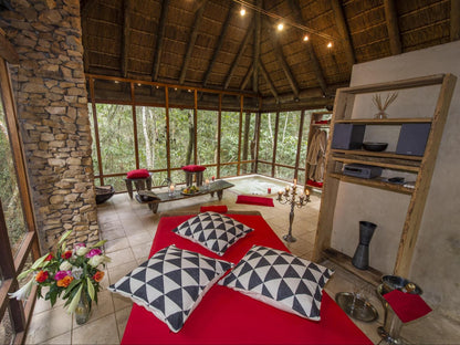 Trogon House And Forest Spa The Crags Western Cape South Africa 