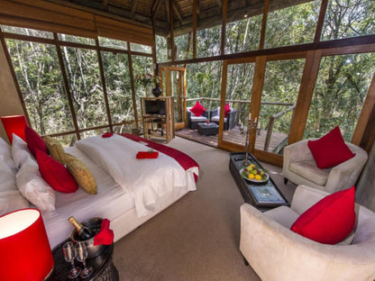 Trogon House And Forest Spa The Crags Western Cape South Africa Bedroom