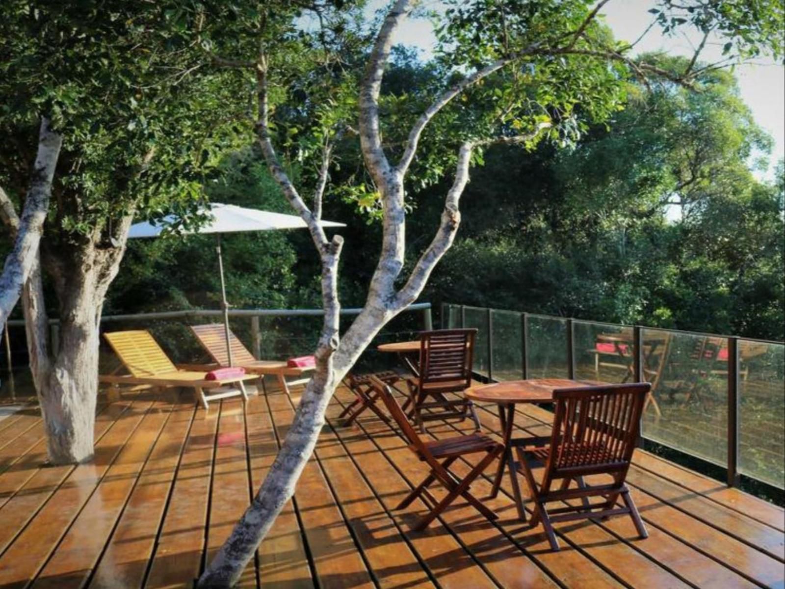 Trogon House And Forest Spa The Crags Western Cape South Africa Tree, Plant, Nature, Wood, Garden