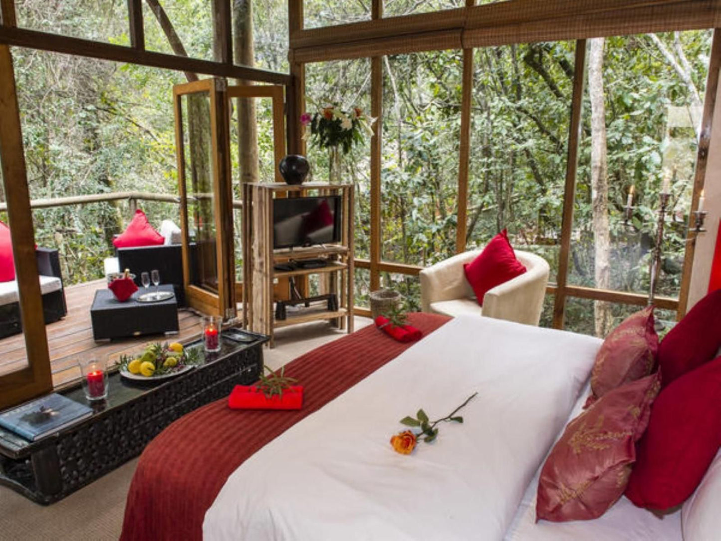 Trogon House And Forest Spa The Crags Western Cape South Africa Bedroom