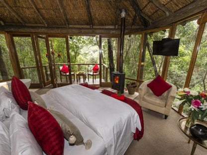 Trogon House And Forest Spa The Crags Western Cape South Africa Bedroom