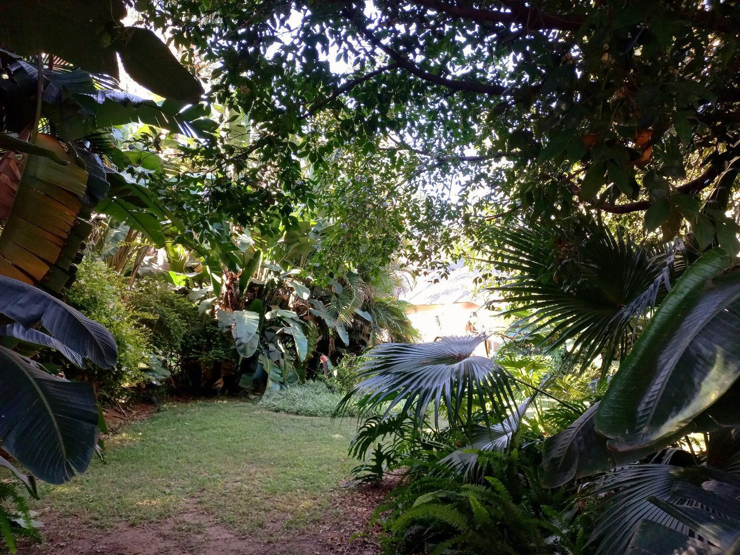 Tropicana Lodge And Function Venue Magalies Park Hartbeespoort North West Province South Africa Palm Tree, Plant, Nature, Wood, Tree, Garden