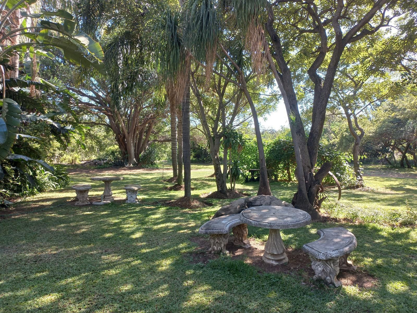 Tropicana Lodge And Function Venue Magalies Park Hartbeespoort North West Province South Africa Palm Tree, Plant, Nature, Wood, Tree, Garden