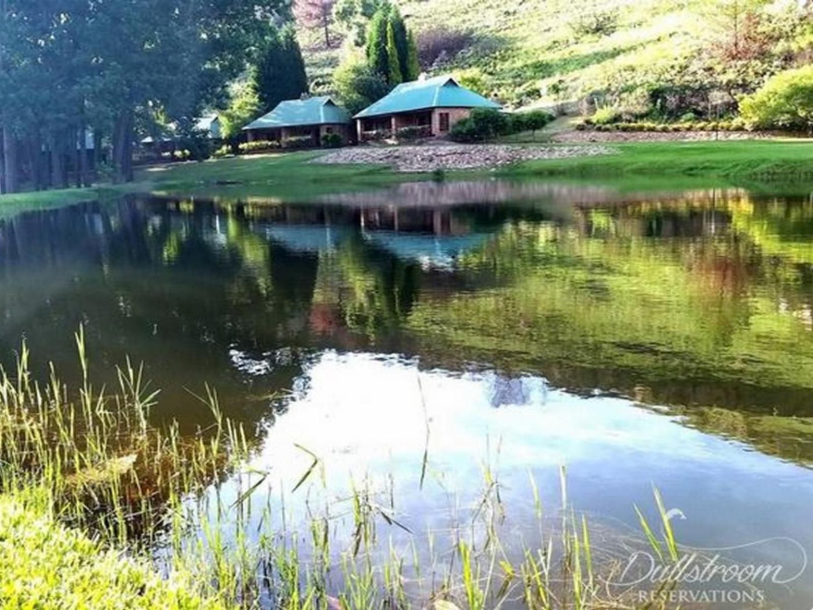 Trout River Falls Lydenburg Mpumalanga South Africa River, Nature, Waters