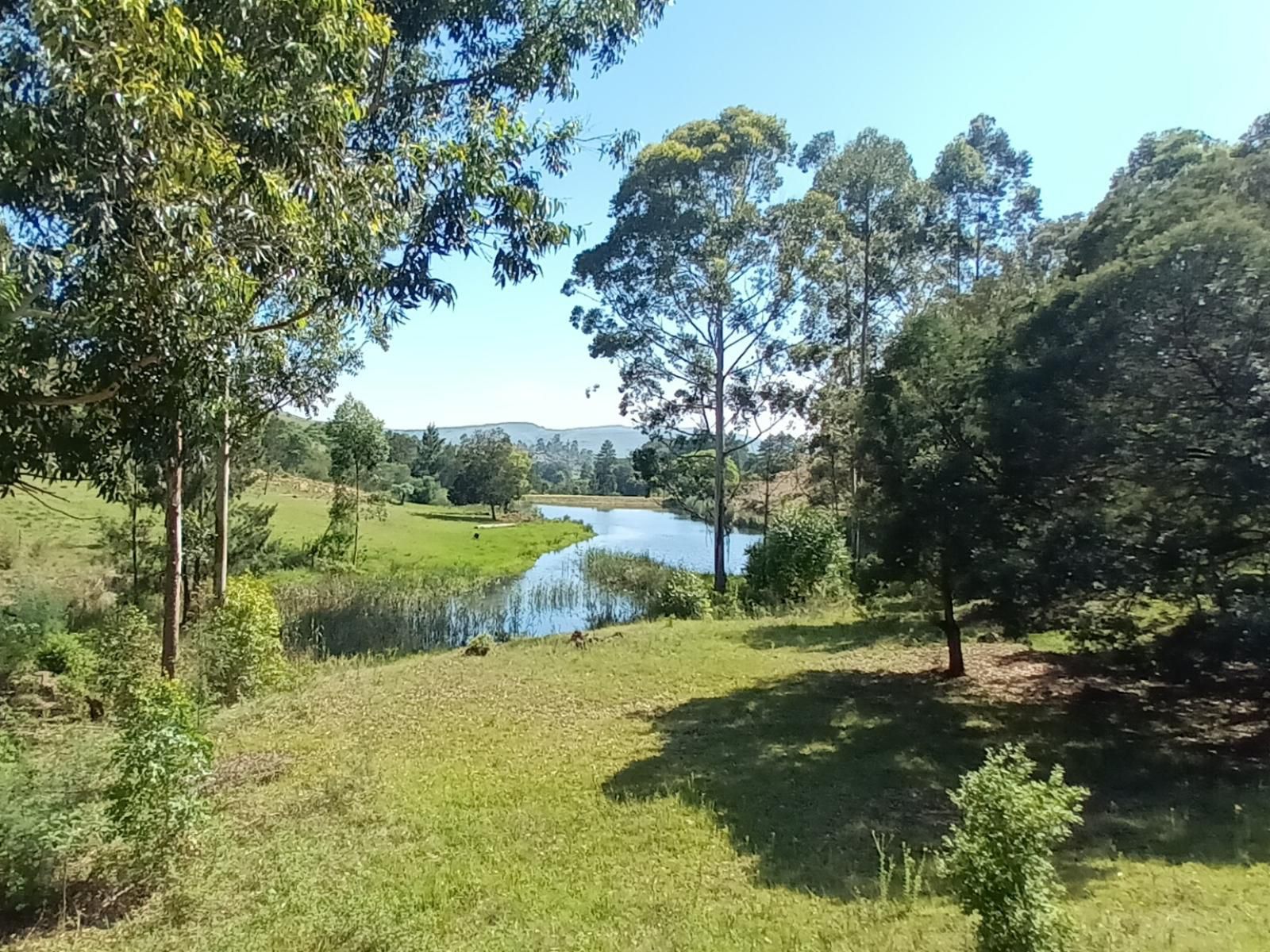 Troutways Private Retreat, River, Nature, Waters, Tree, Plant, Wood