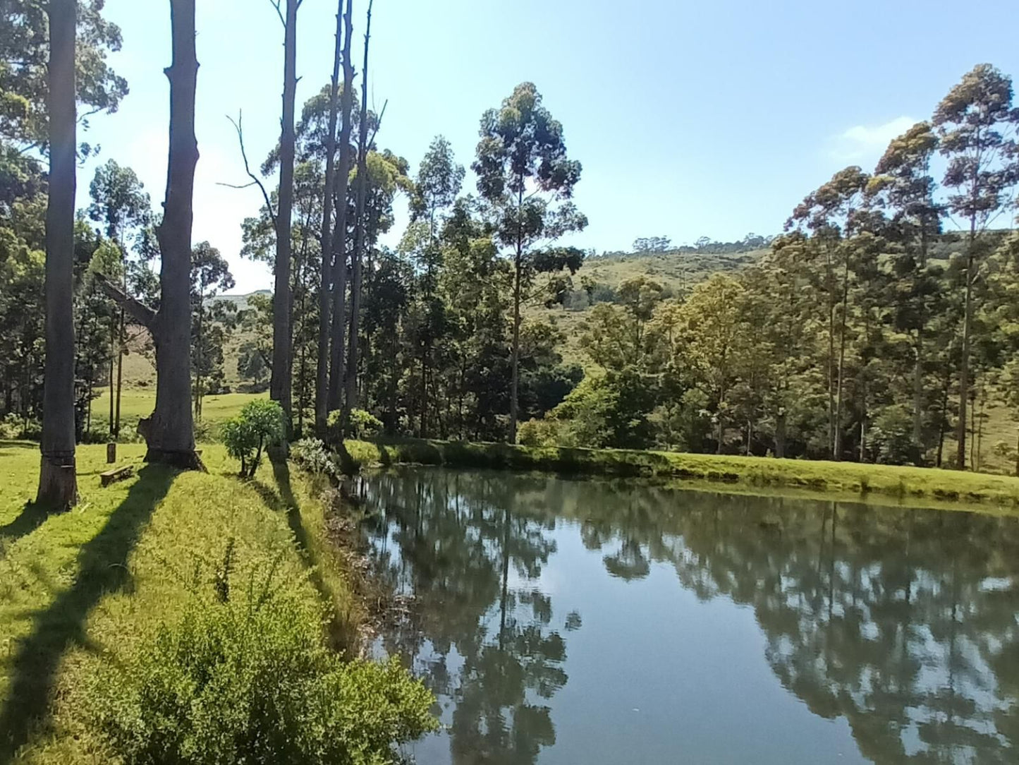 Troutways Private Retreat, River, Nature, Waters, Tree, Plant, Wood