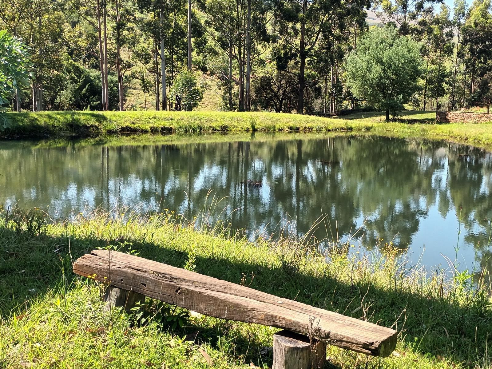 Troutways Private Retreat, Lake, Nature, Waters, Tree, Plant, Wood