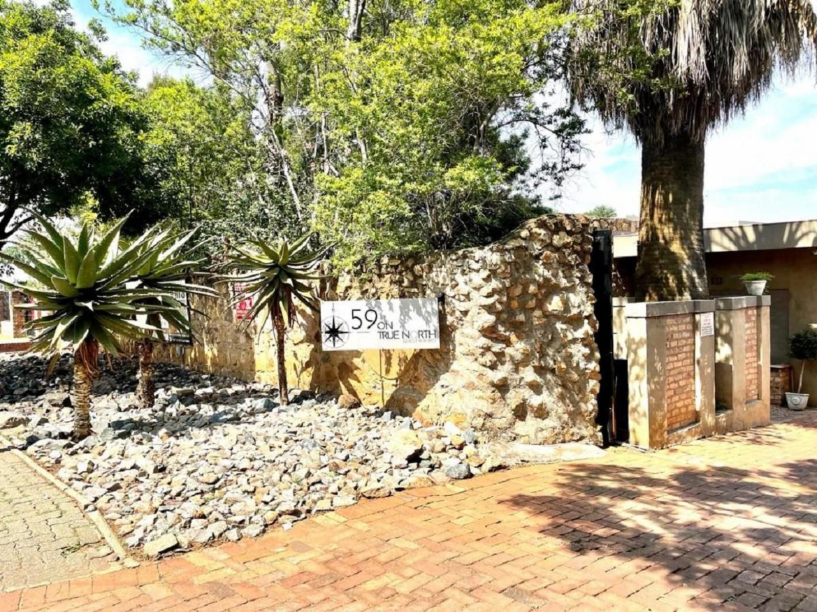 59 On True North Guest Rooms Mulbarton Johannesburg South Gauteng South Africa Palm Tree, Plant, Nature, Wood