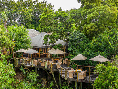 Tsala Treetop Lodge, Bar