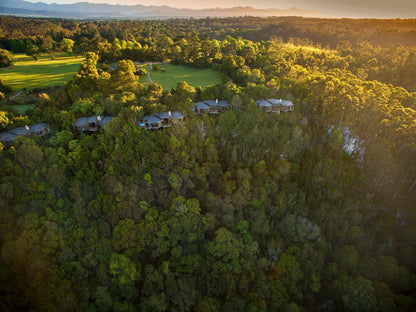 Tsala Treetop Lodge