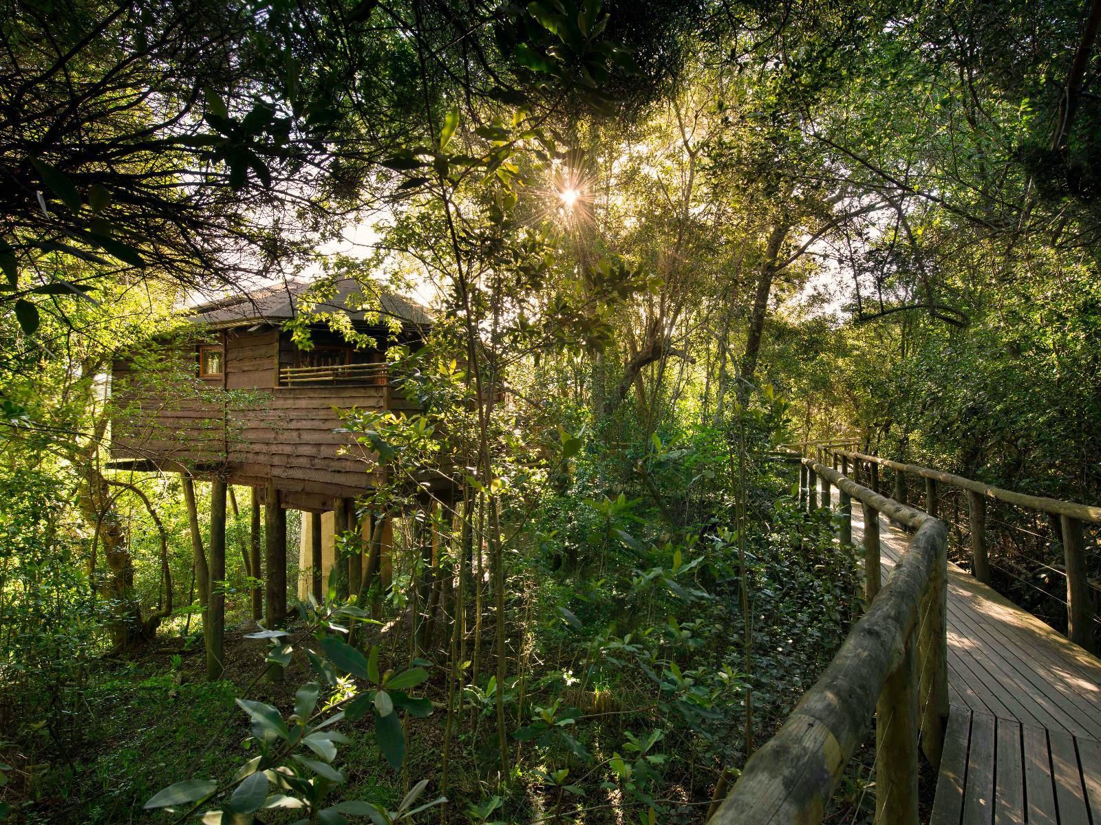 Tsala Treetop Lodge