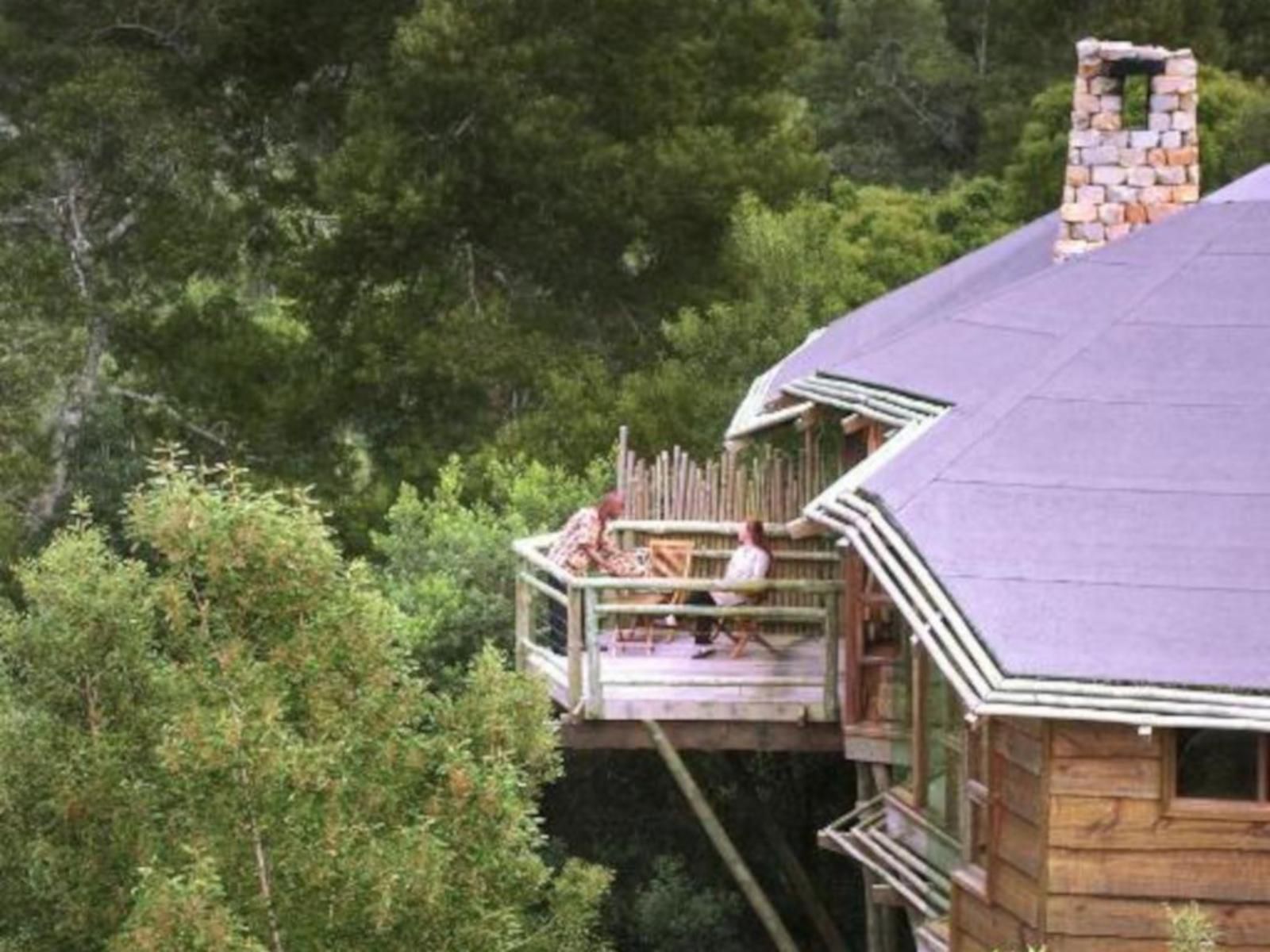 Tsala Treetop Lodge, Bridge, Architecture, Person