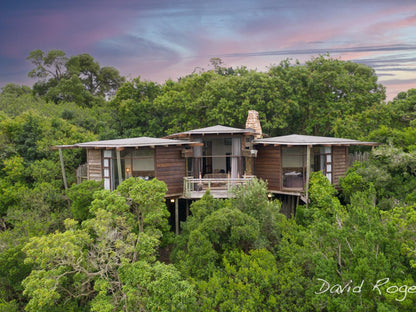 Tsala Treetop Lodge, Tsala Villas, Building, Architecture