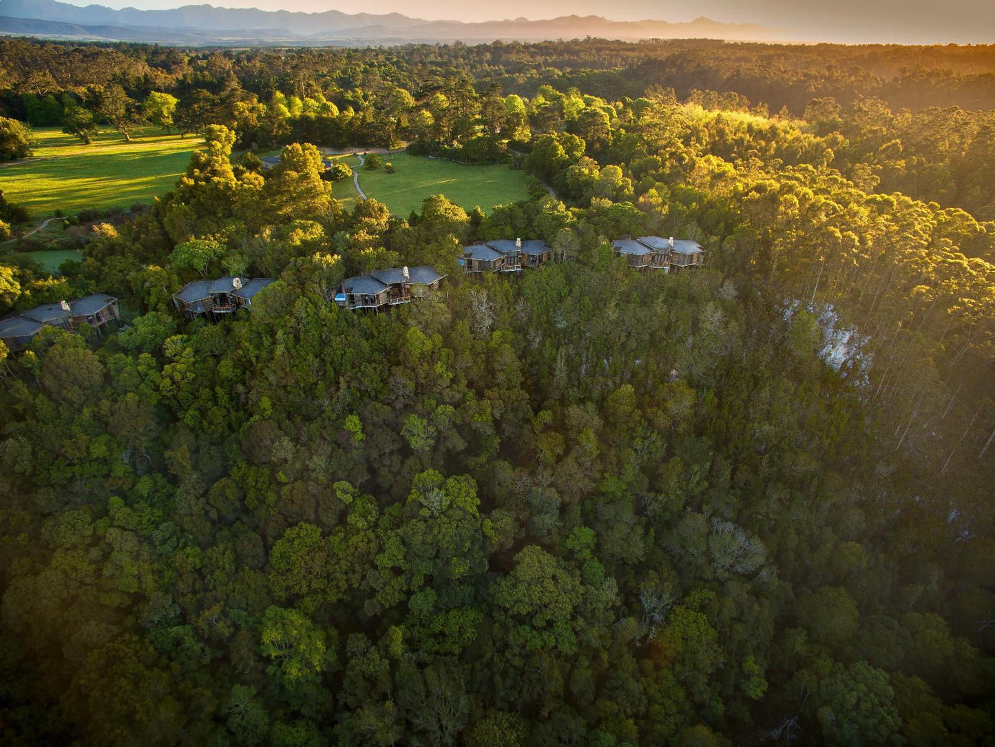 Tsala Treetop Lodge And Villas Plettenberg Bay Western Cape South Africa 